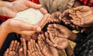 सुडानमा खाद्य संकट : ४० लाख बालबालिका कुपोषणको शिकार, सहयोगको अपिल